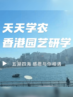 与香港园艺学会联合举办香港园艺研学，专业园境师带队讲解。