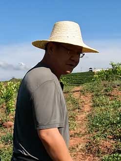 农业人叶涛，50多岁通讯人跨界搞农业，他要用1000万打造一个梦。